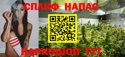 МДПВ Заводоуковск