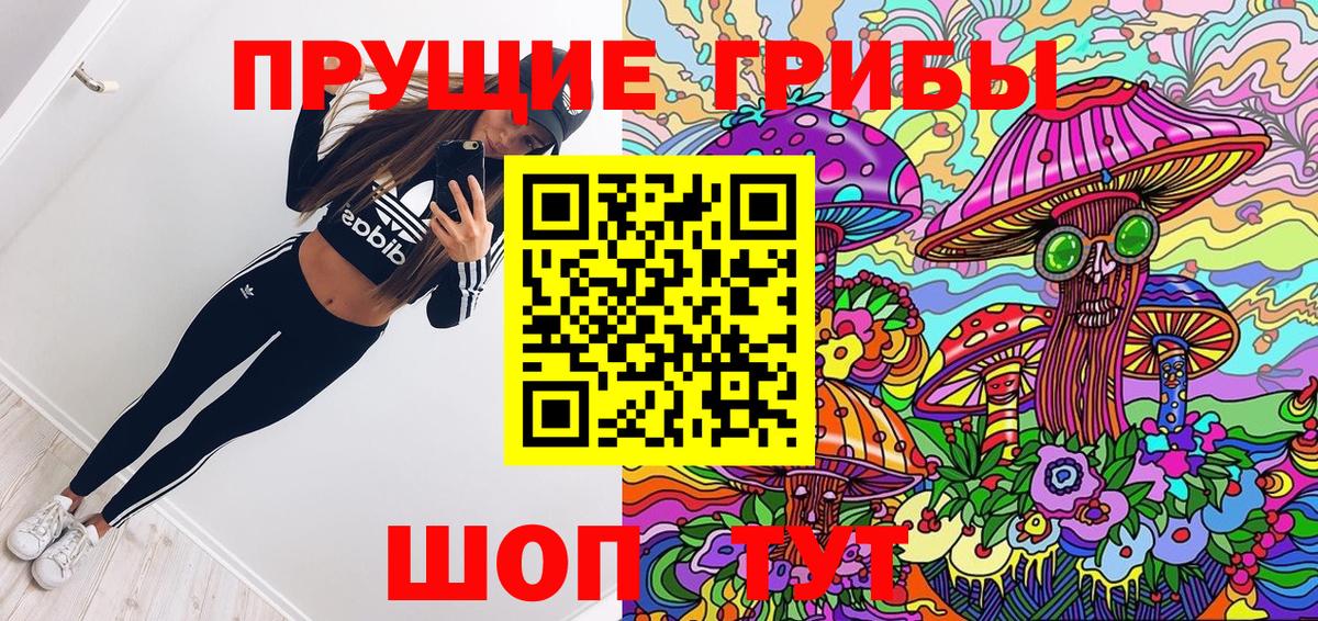 Псилоцибиновые грибы прущие грибы Малгобек
